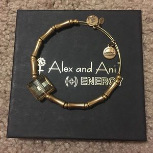 Alex and Ani Beaded Bangle